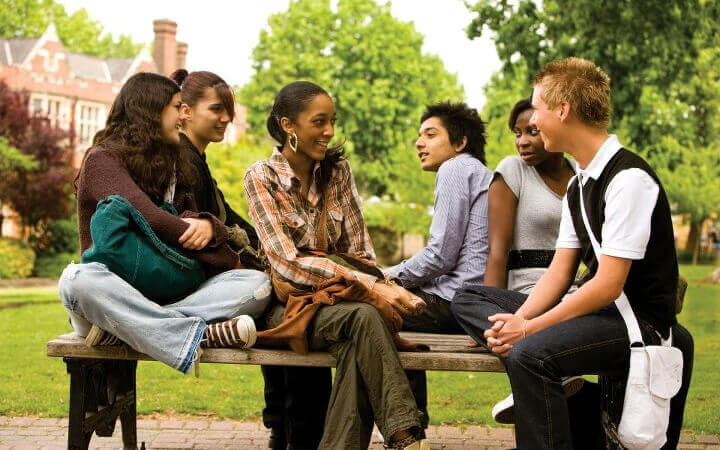 equality in the curriculum for colleges and schools 