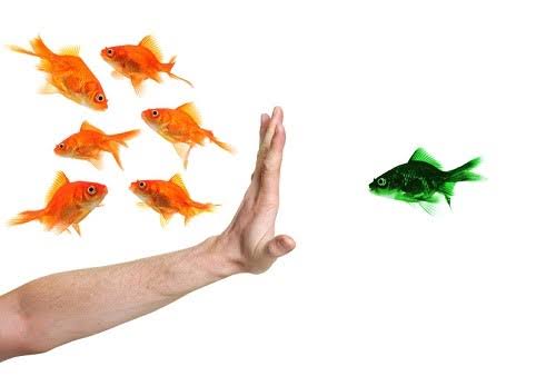 Discrimination, Harassment and Victimisation training course